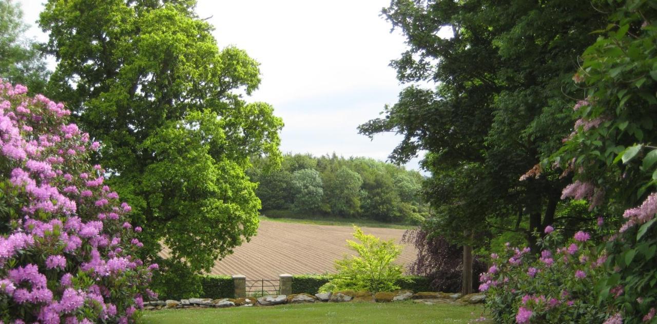 Ballydugan Country House Даунпатрик Екстериор снимка