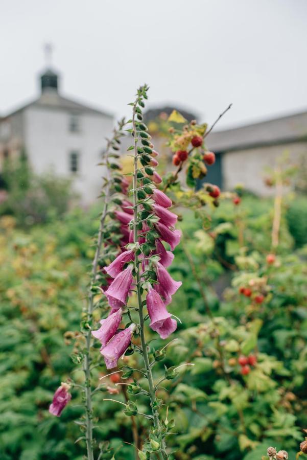 Ballydugan Country House Даунпатрик Екстериор снимка