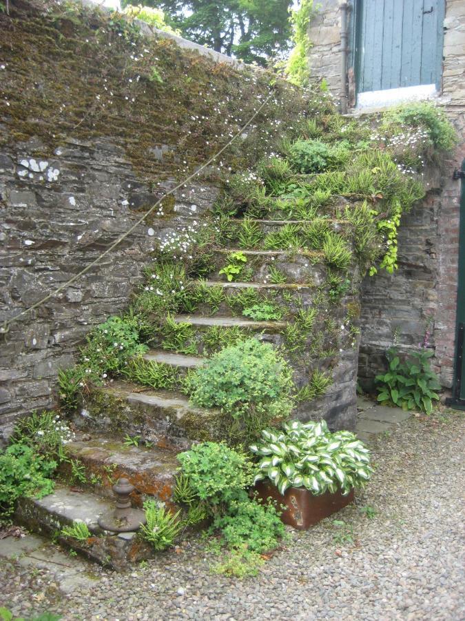 Ballydugan Country House Даунпатрик Екстериор снимка