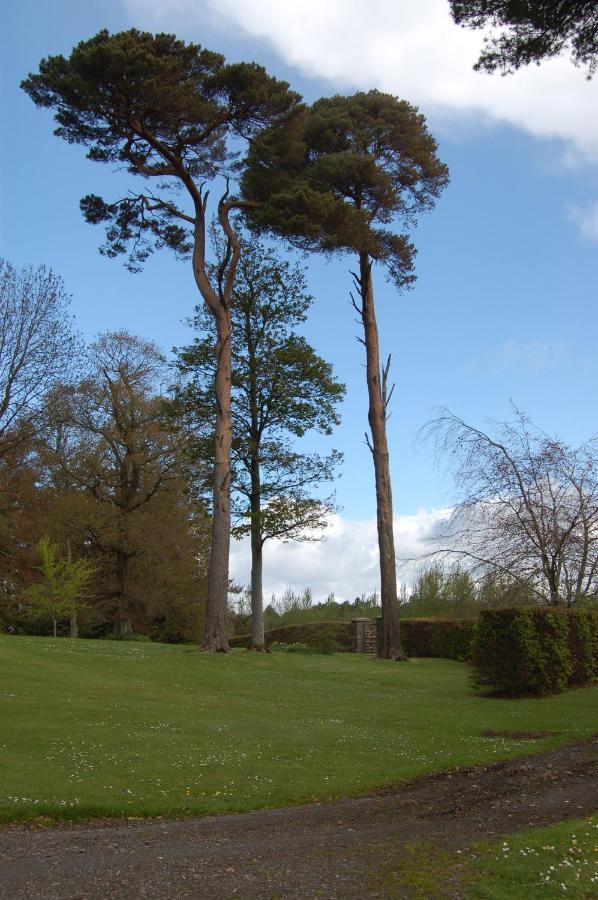 Ballydugan Country House Даунпатрик Екстериор снимка