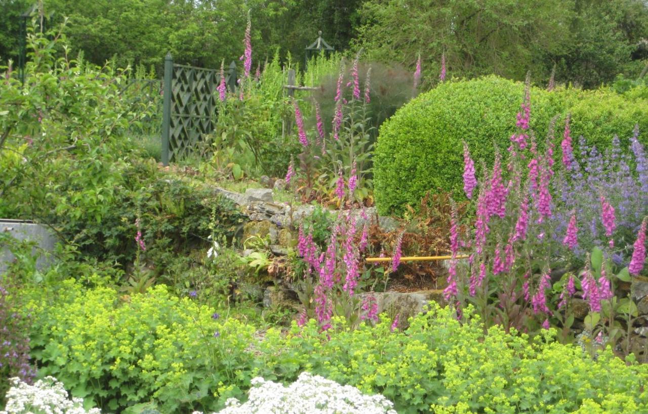 Ballydugan Country House Даунпатрик Екстериор снимка