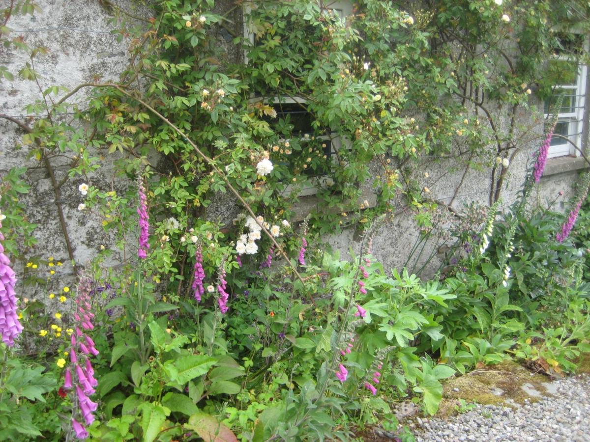 Ballydugan Country House Даунпатрик Екстериор снимка