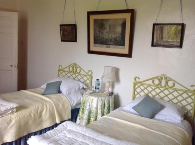 Ballydugan Country House Даунпатрик Екстериор снимка